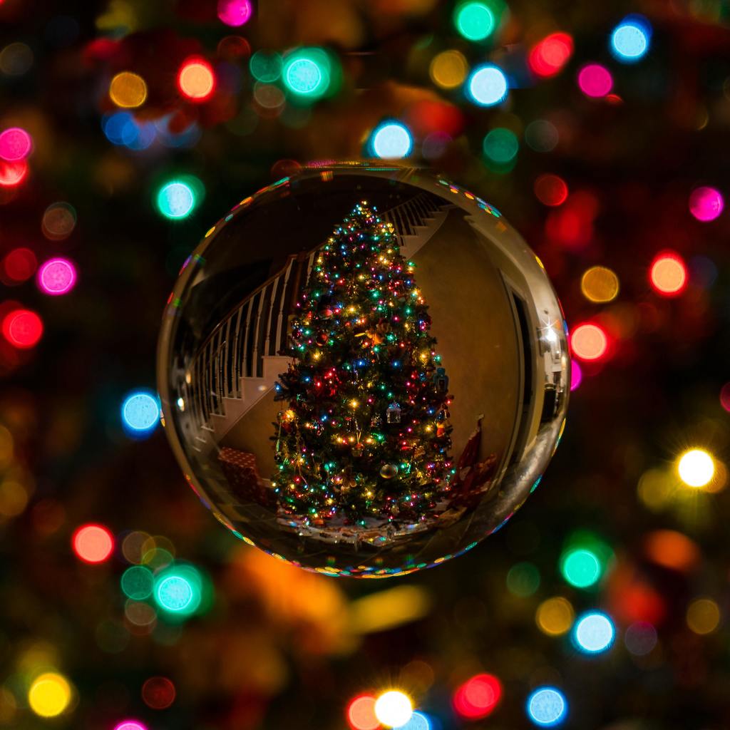 ornament with reflection of lighted Christmas tree